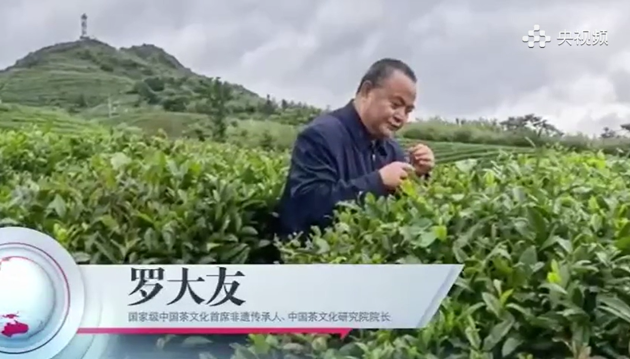 《央视频》刚刚播出:《新火试新茶，且歌时代风华》罗大友—新时代茶文化推广之路